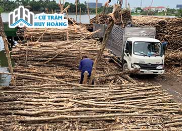 Đội ngũ chuyên nghiệp