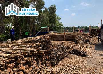 Tầm nhìn sứ mệnh