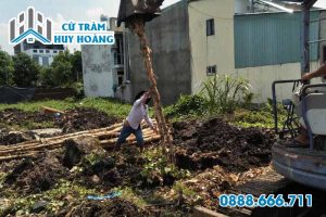 Thi công đóng cọc cừ tràm