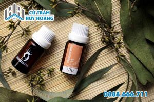 Tinh dầu bạch đàn