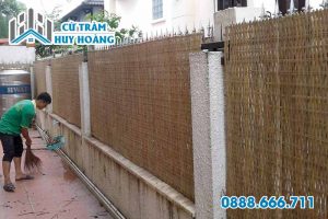 Hàng rào bằng cót tre