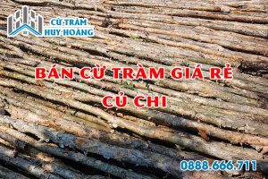cu tram cu chi