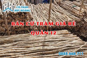 cu tram quan 12