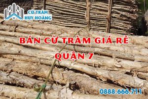 cu tram quan 7