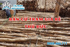 cu tram thu duc
