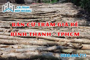 cu tram binh thanh