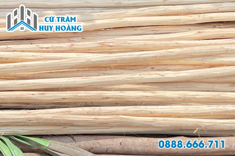 Cừ tràm bóc vỏ trang trí