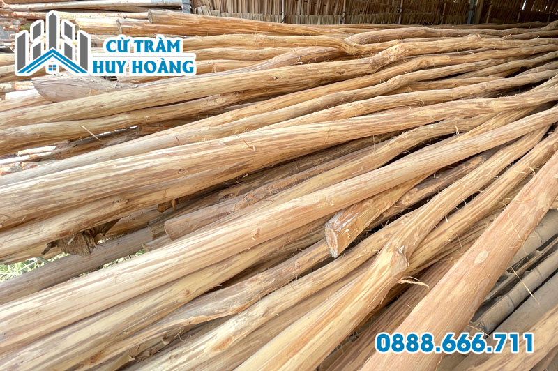 Cừ tràm lột vỏ trang trí