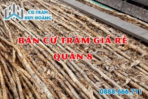 cu tram quan 8