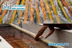 xu ly moi mot tre truc