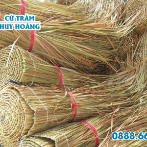 Cỏ tranh lợp nhà