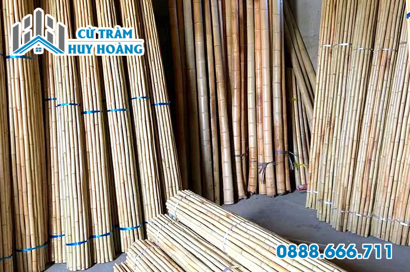 Xưởng nguyên liệu tre trúc